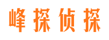 当雄私家调查公司